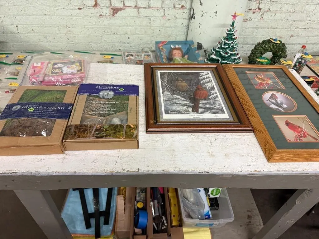 Bird Pictures, Potting Kit, Cooler