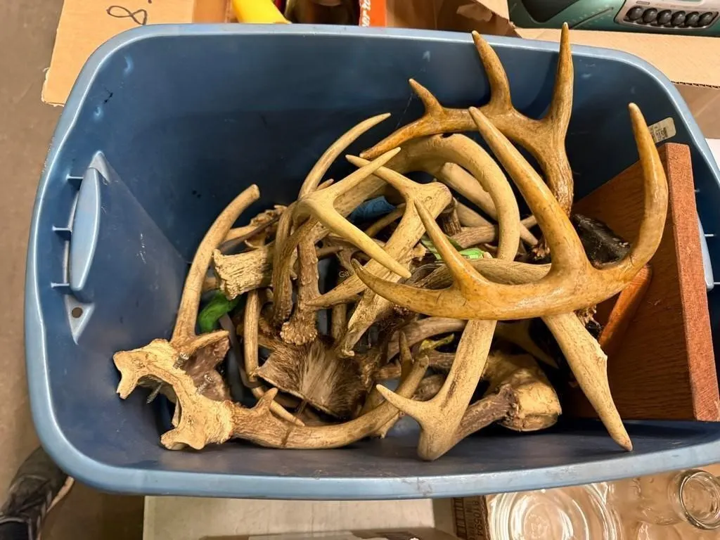 Small Tote of Antlers