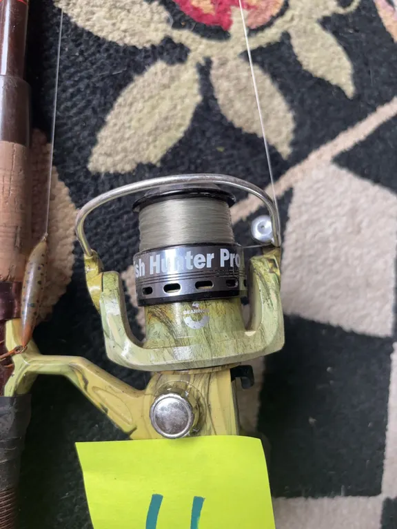Fish Hunter Pro 4-Bearing Spinning Reel and Daiwa Rod