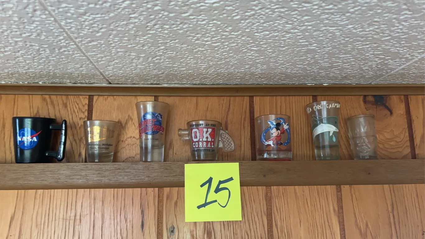 7 Shot Glasses