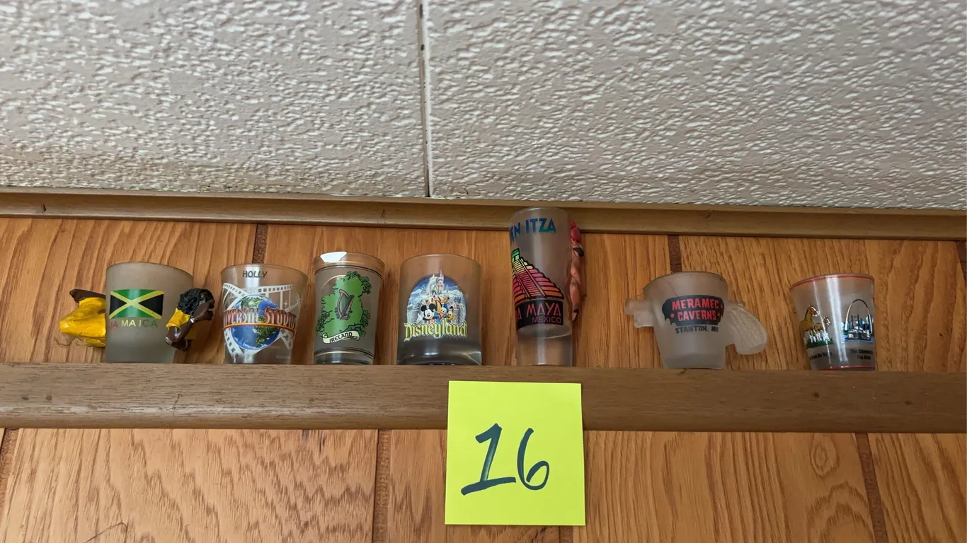 7 Shot Glasses