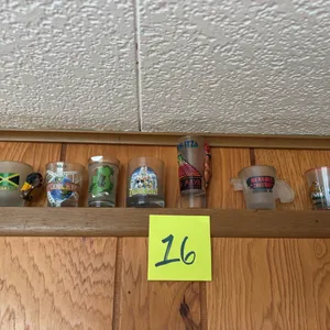 7 Shot Glasses