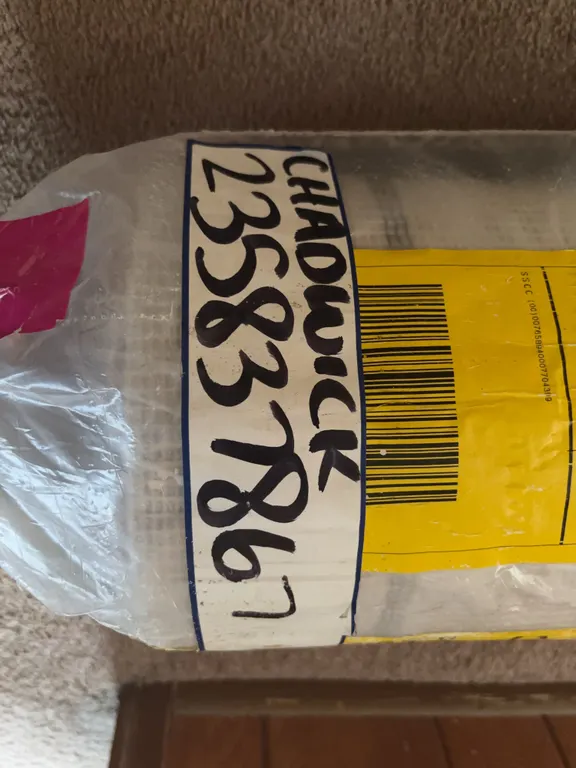 Two Rolls of Shaw Carpet with Carpet Tape