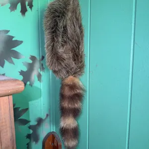 Imitation Raccoon Skin Hat