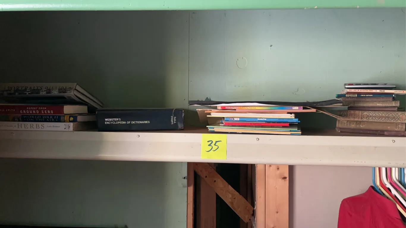 Book Lot - Assorted Titles