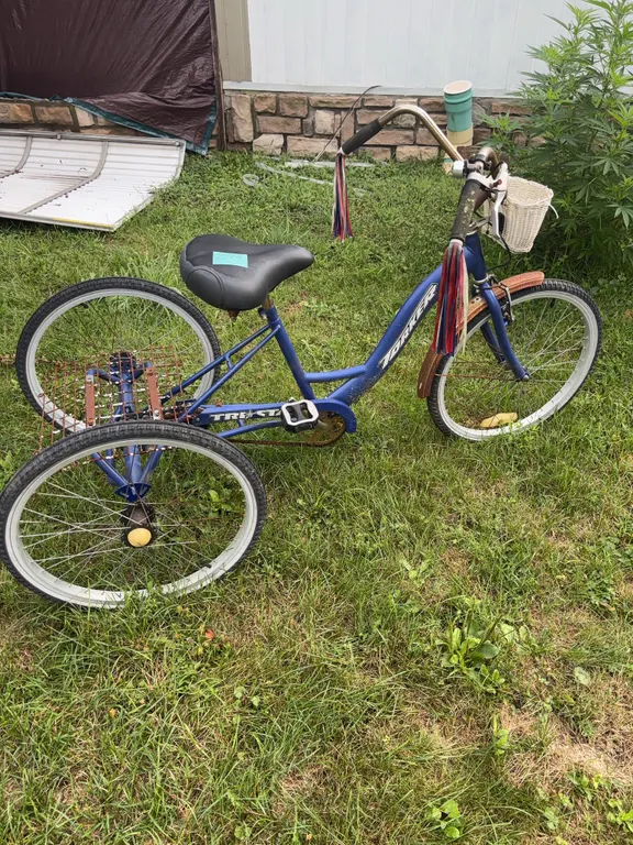 24" Blue Torker Adult Tricycle