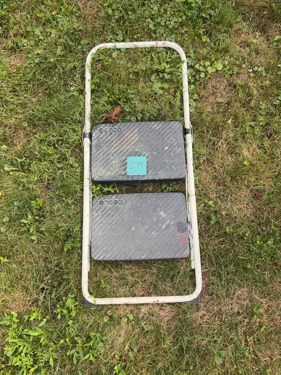 COSCO Step Ladder