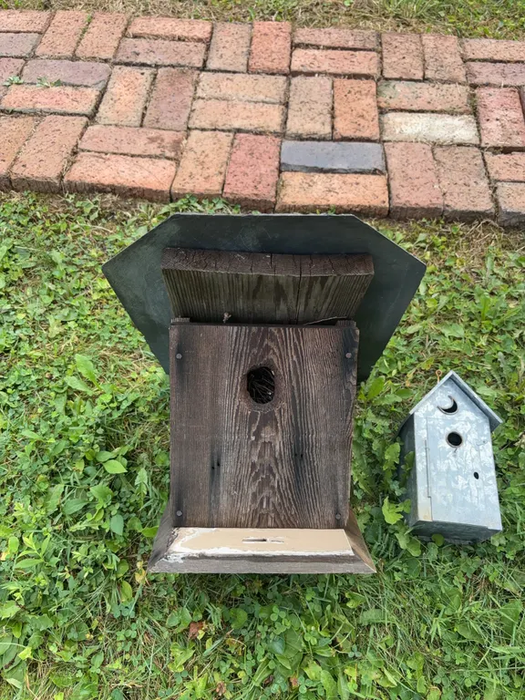 Bird House Lot