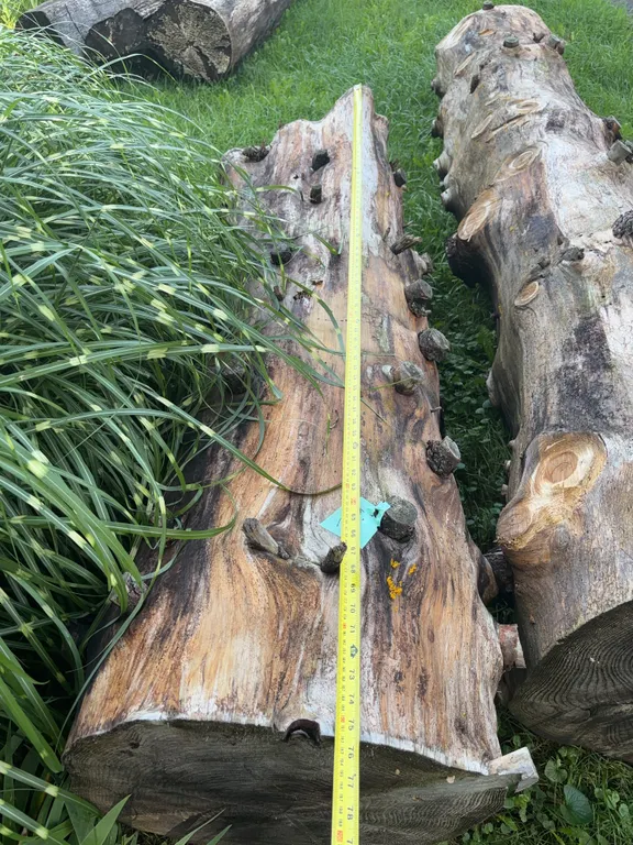 Wooden Log