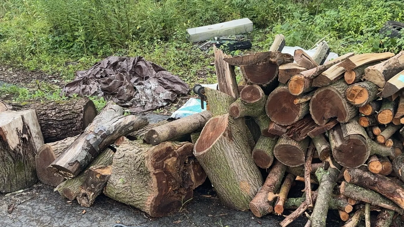 Firewood