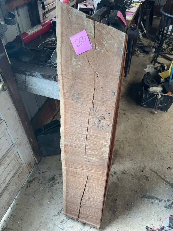 Single Rough-Cut, Live-Edge Wood Slab