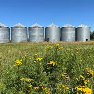 6 Westeel-Rosco 5000-bushel Grain Bins in Buchanan, SK. Can be moved or can stay where they are!