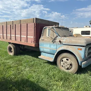 Chevy C-50 Grain Truck w/ 14’ Wooden Road King Hoist Box, Gas, 22,853 Miles *Not Running* - Needs Battery - Didn't see running -  *Title and Transfer 