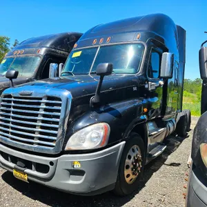 2015 Freightliner Cascadia High Roof Sleeper Cab Truck