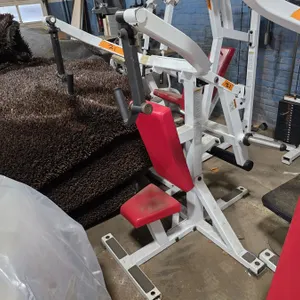 (#21) Paramount Triceps Extension Fitness Machine