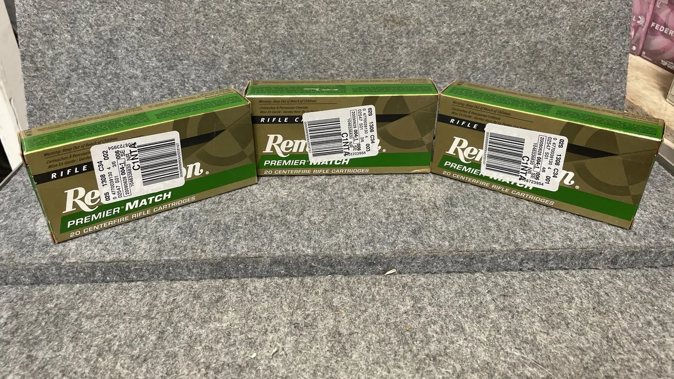 (60) Rds., 223 Remington (Downing, WI)