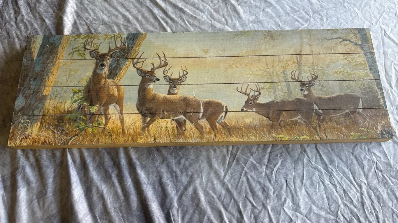Whitetail Deer Panel Decor (Neenah, WI)