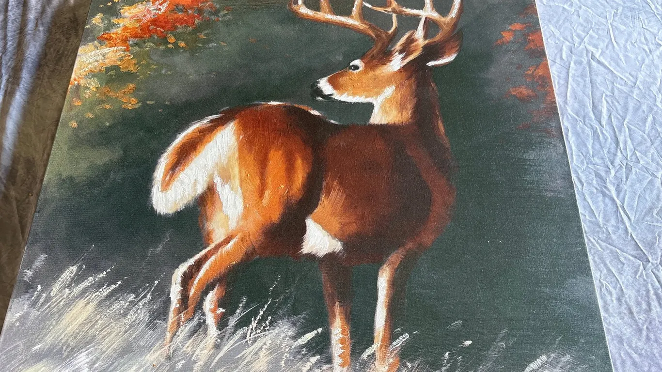 Whitetail Deer Painting (Neenah, WI)