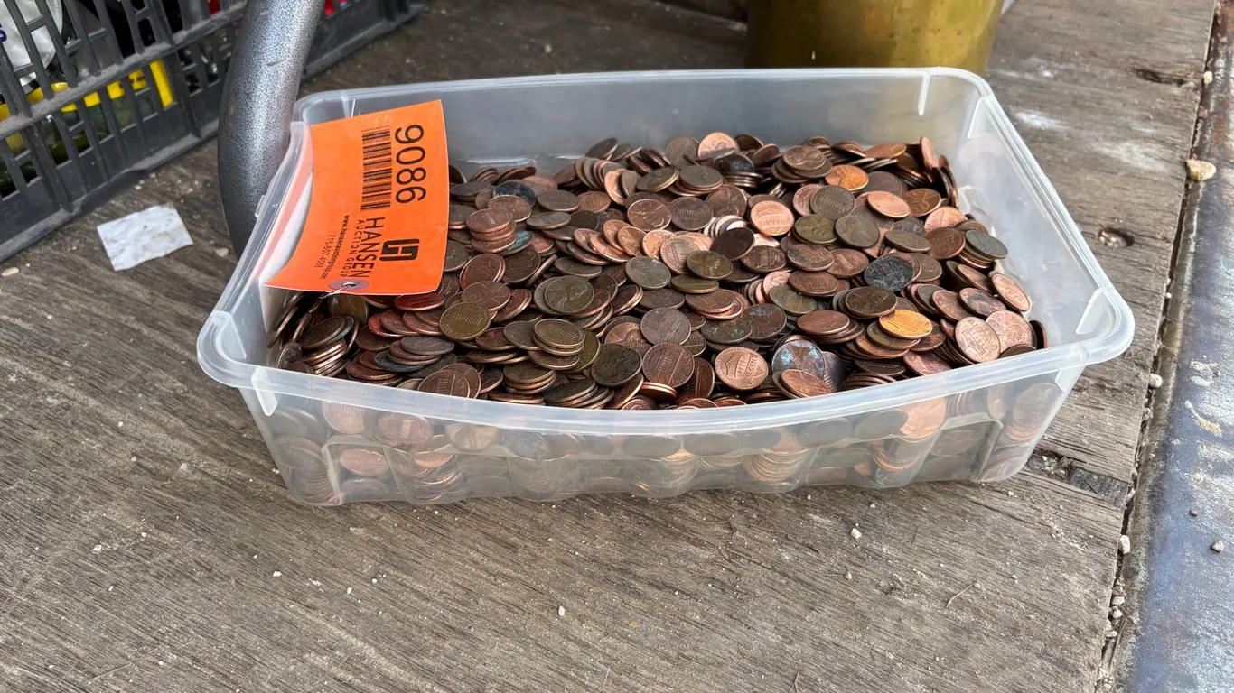 Assortment of Pennies (Arcadia, WI)