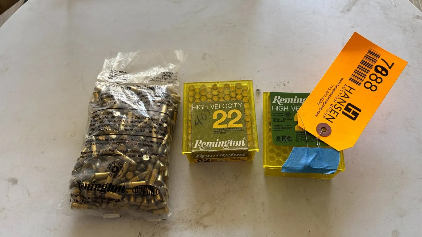 Remington .22 Shells (Arcadia, WI)