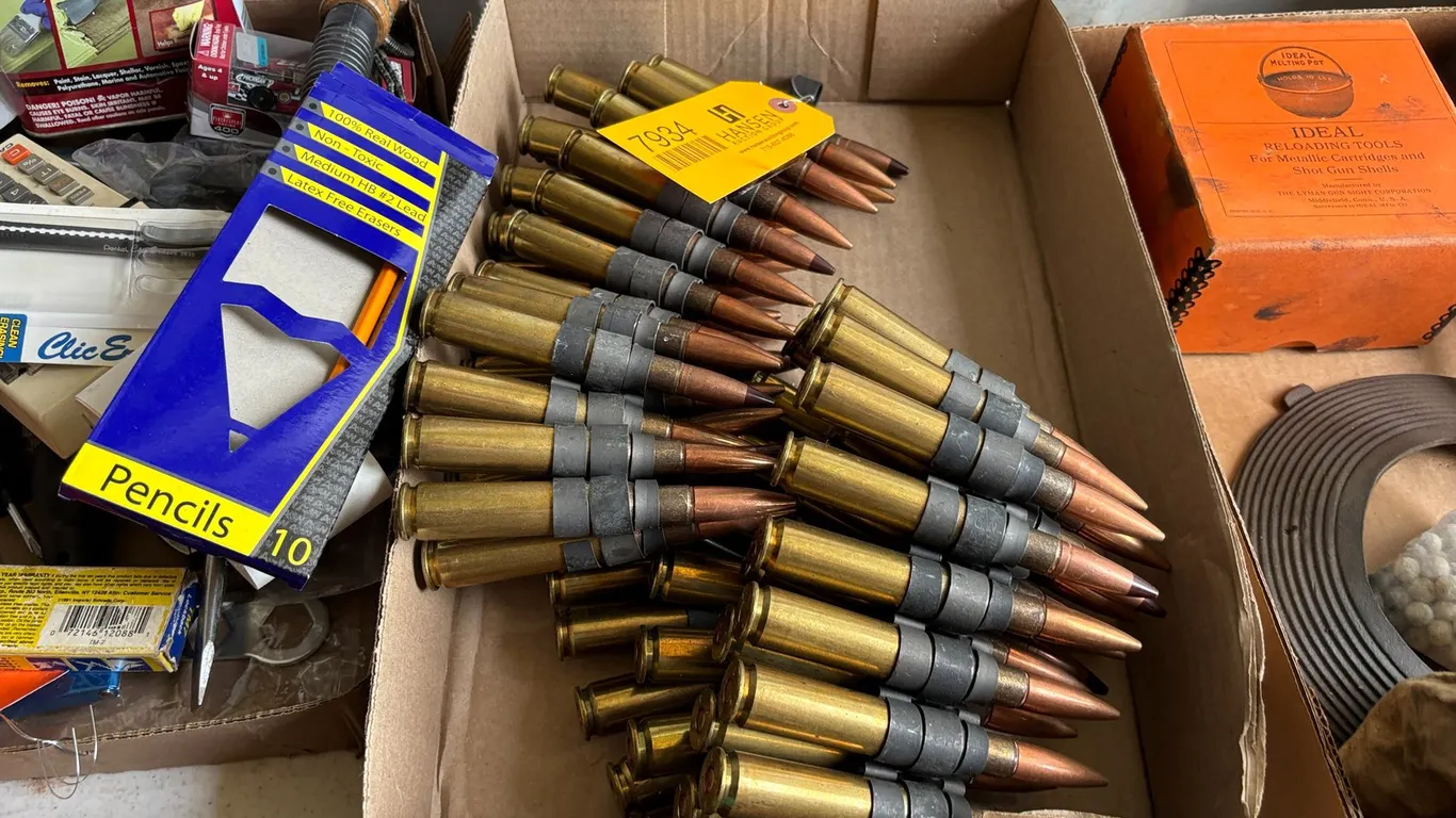 Linked .30-06 Bullets (Arcadia, WI)