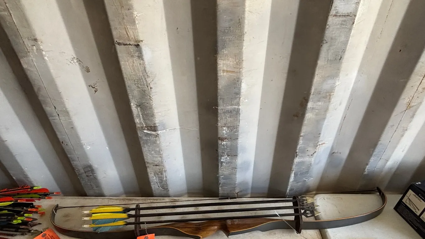 56" Browning Bow (Arcadia, WI)