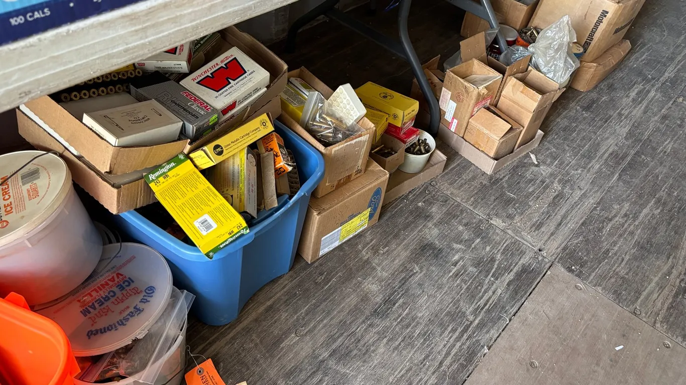 Assortment of Empty Rounds (Arcadia, WI)