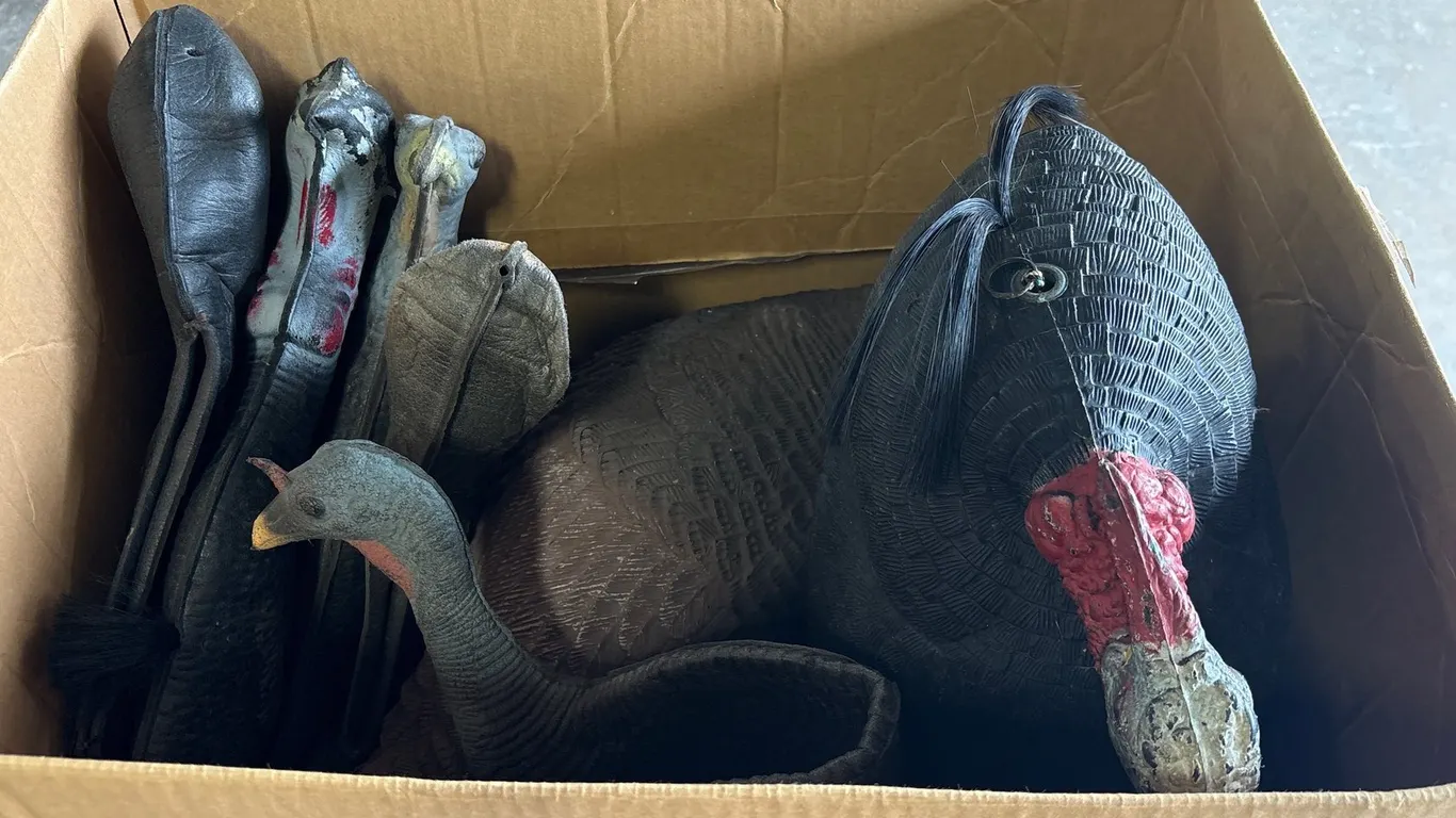 Turkey Decoys (Neenah, WI)
