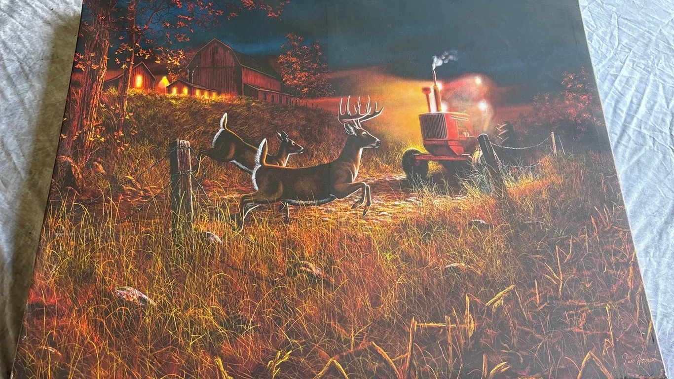 Field of Dreams Art Print (Neenah, WI)