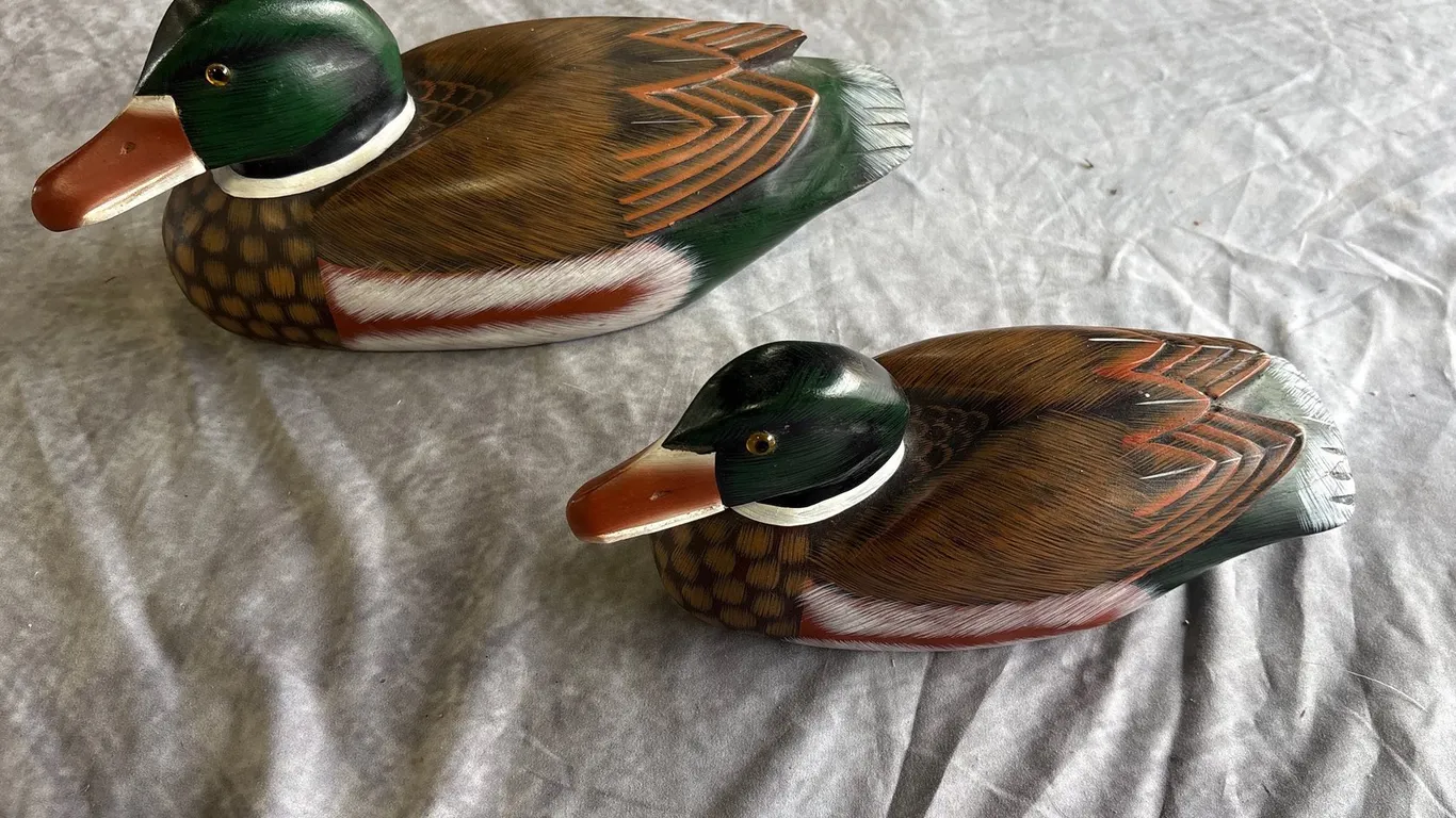 Mallard Ducks (Neenah, WI)