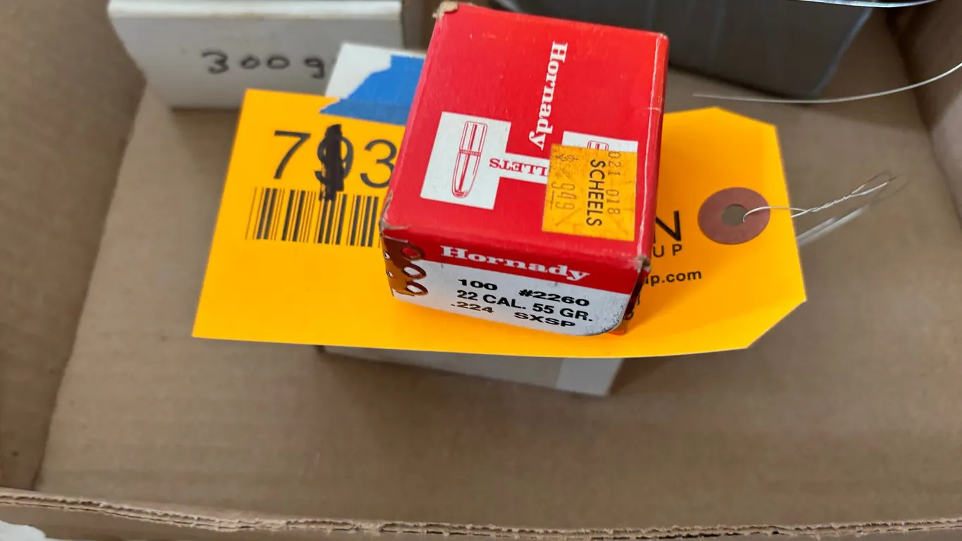 (2) .22 Cal Bullets (Arcadia, WI)