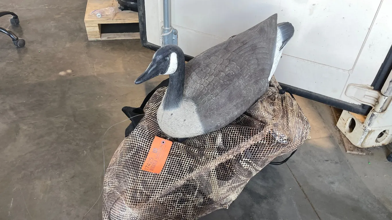 Goose Decoys (Princeton, MN)