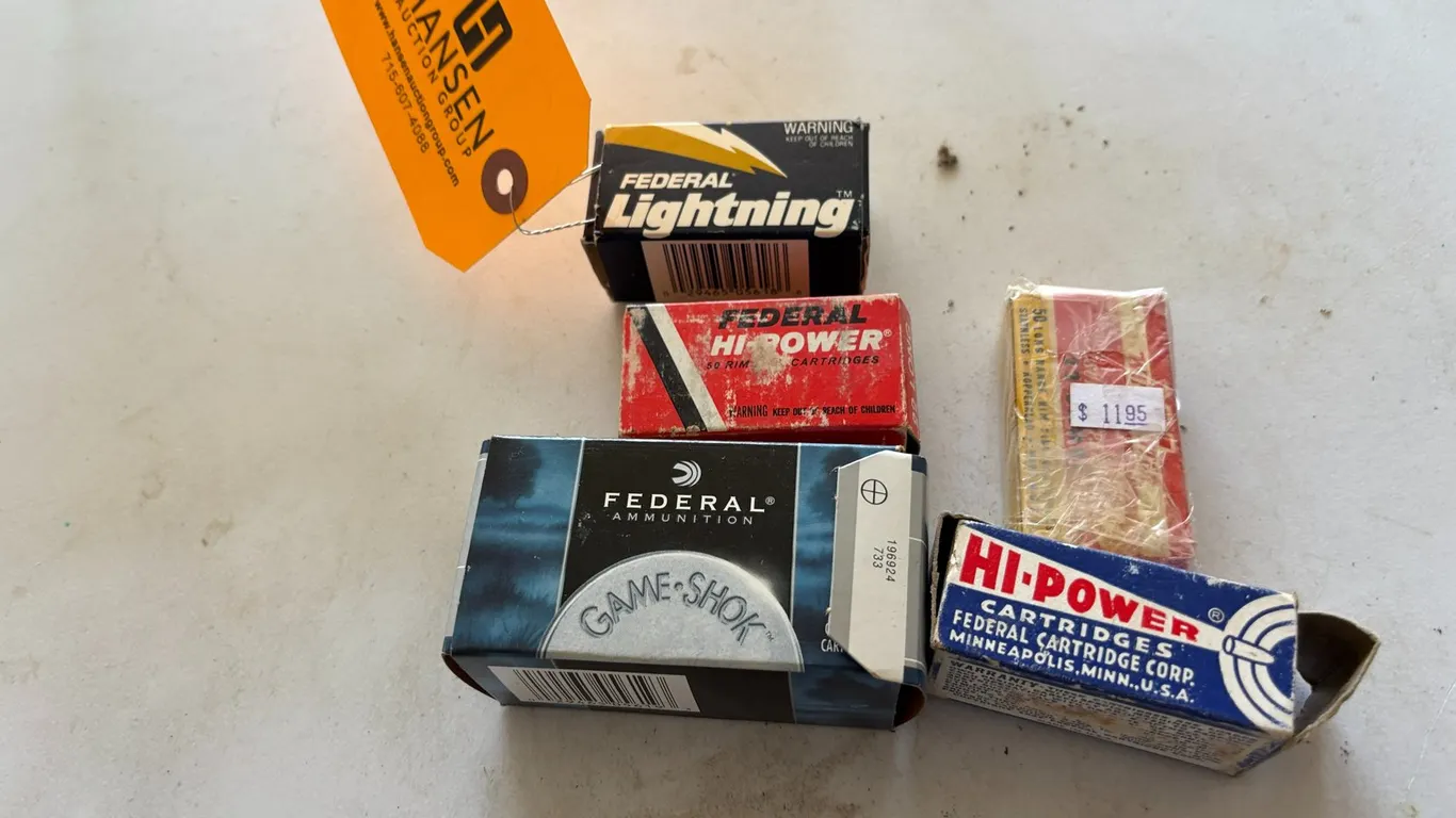 Assortment of .22LR Shells (Arcadia, WI)