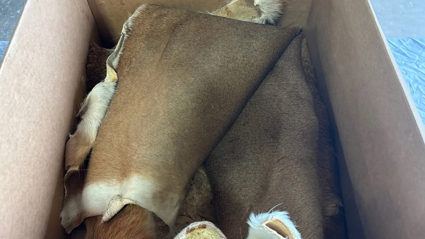 Tanned Deer Hides (Neenah, WI)