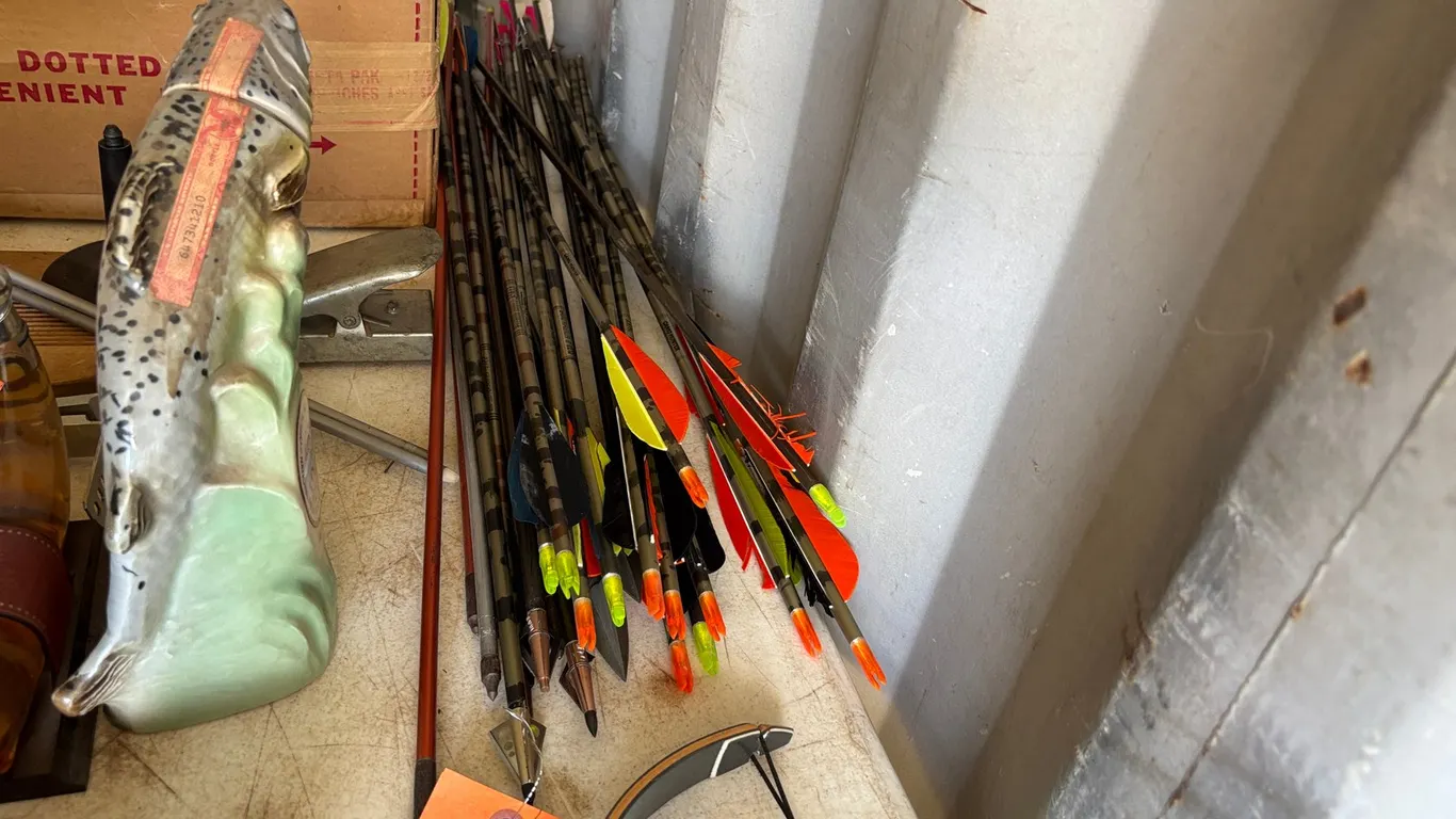 Assortment of Arrows (Arcadia, WI)