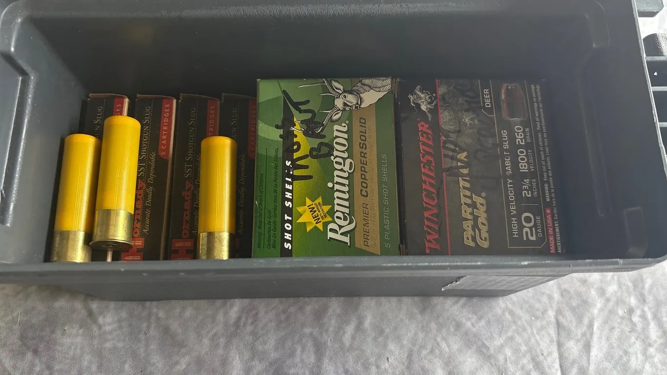20 Ga Sabot Slugs (Neenah, WI)