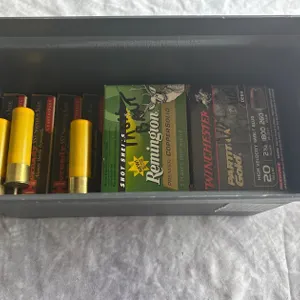 20 Ga Sabot Slugs (Neenah,WI)