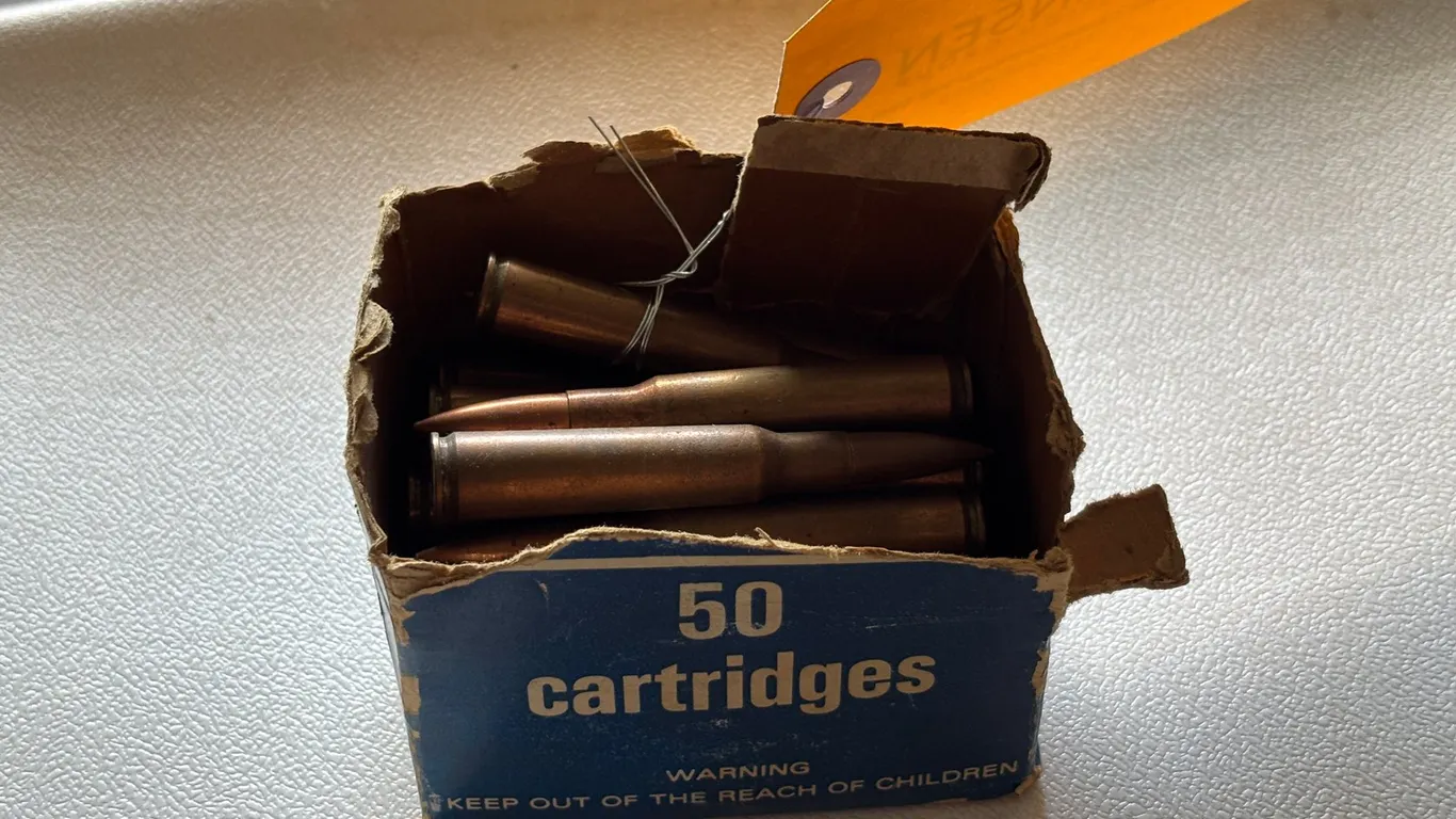 (25) Shells (Arcadia, WI)