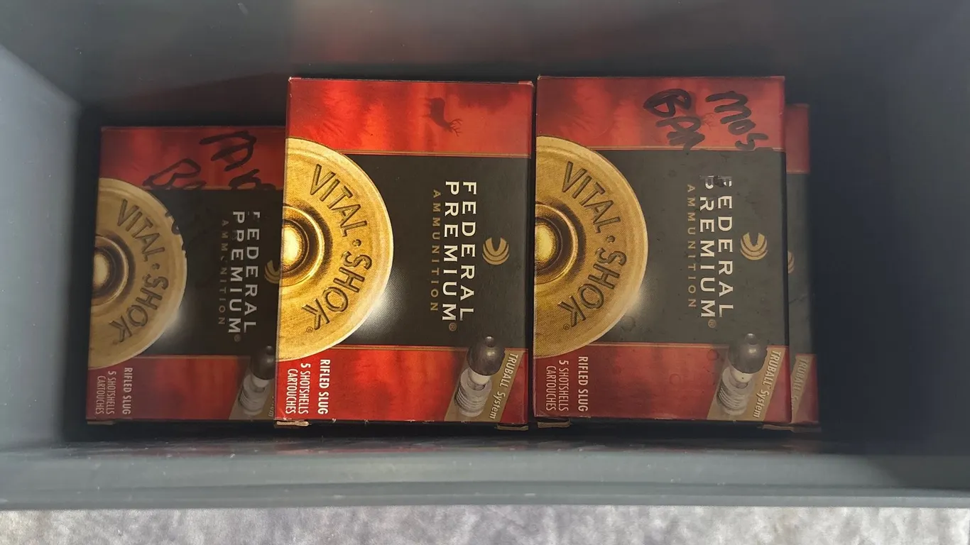 20 Ga Rifled Slugs (Neenah, WI)