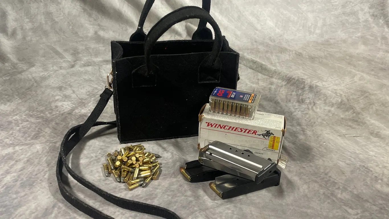 Gun Ammo and Clips (Neenah, WI)