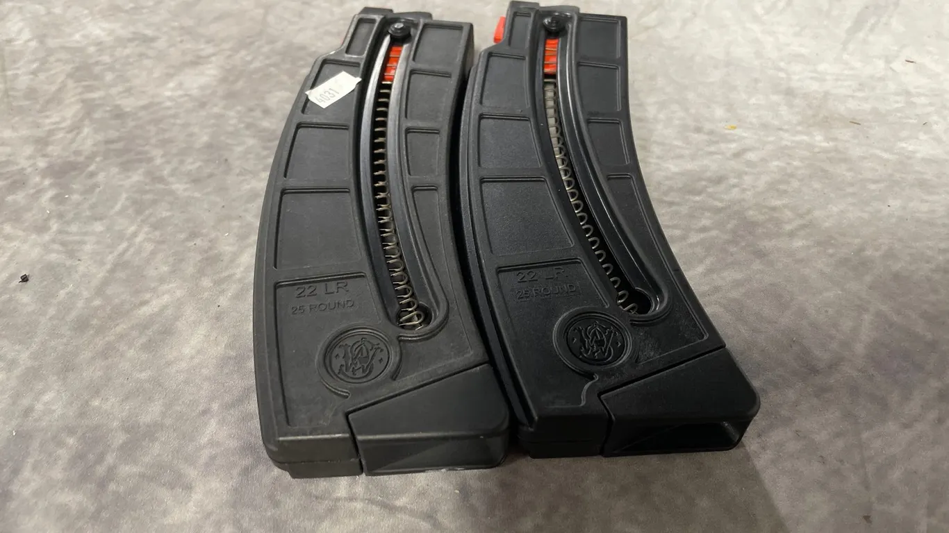 (2) 22LR Magazines (Neenah, WI)