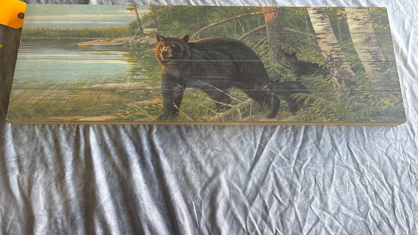 Black Bear Panel Decor (Neenah, WI)