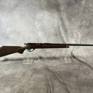 Glenfield Model 10, 22 Cal. Rifle, SN: 25732831 (Neenah, WI)