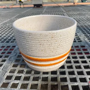 Flower/Plant Pot