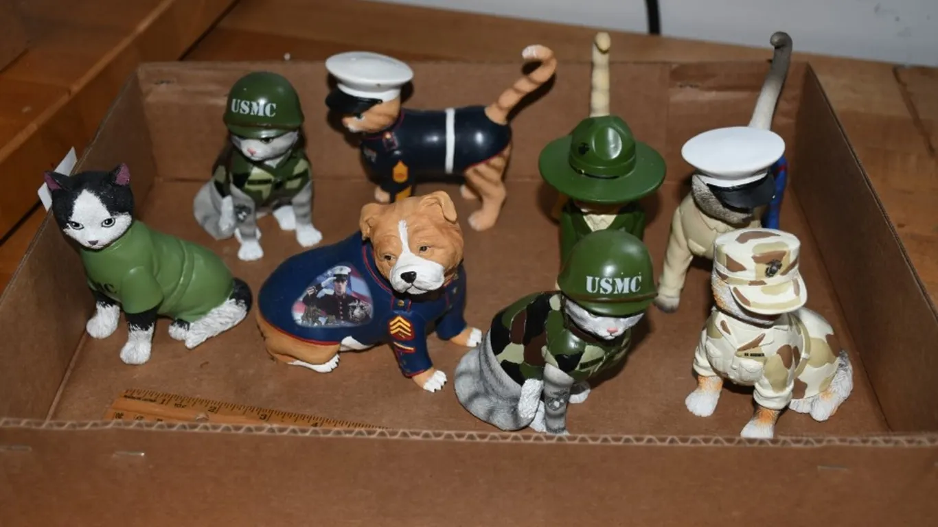 Military Pets