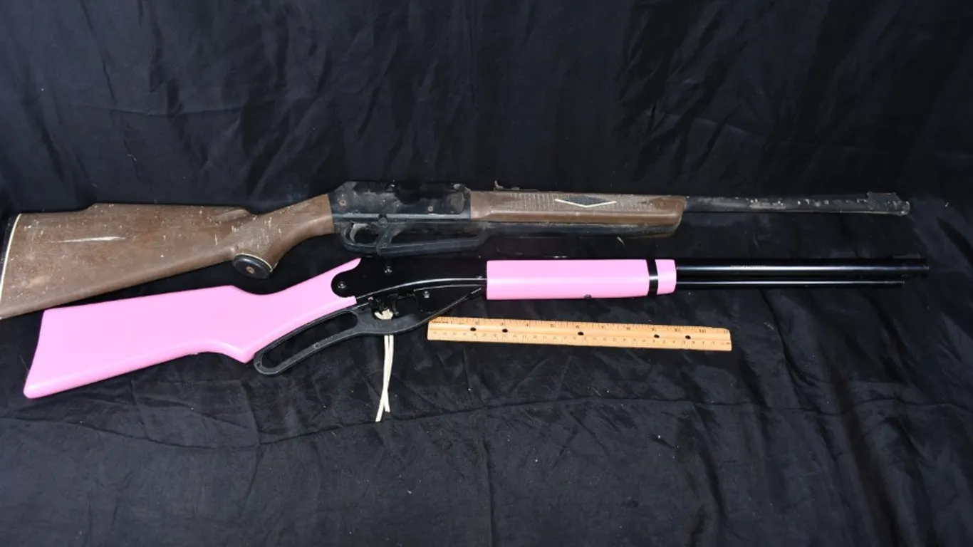 Pink Daisy Model 1998 BB Gun and Another