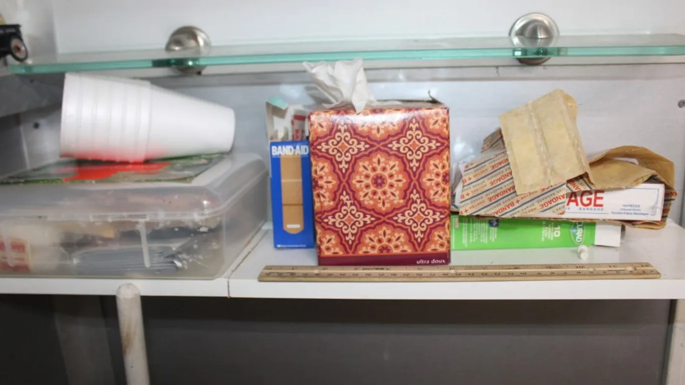 Bandages and Tissues