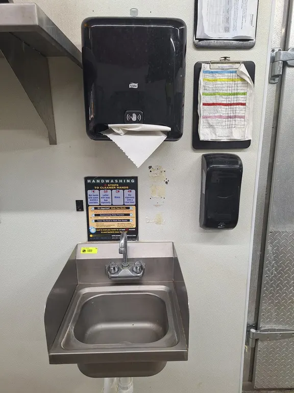 SS Hand Sink, 16"x16.5", with Soap and Towel Dispensers