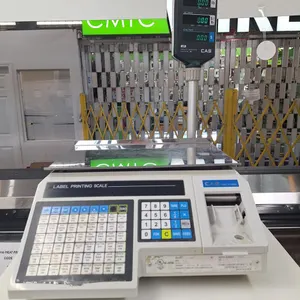 CAS Labcorp Printing Scale, Model: LP-1000, 30 lb. x 0.01 lb.
