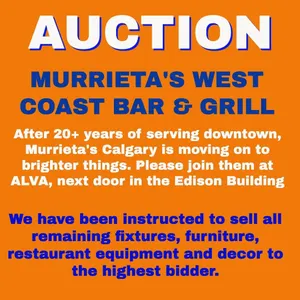 PLEASE READ THIS INFORMATION BEFORE BIDDING